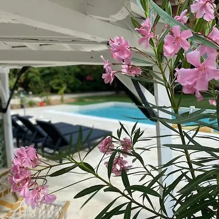 Villa Gite Les Jardins De L'oasis