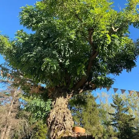 Gite Les Jardins De L'oasis فيلة *